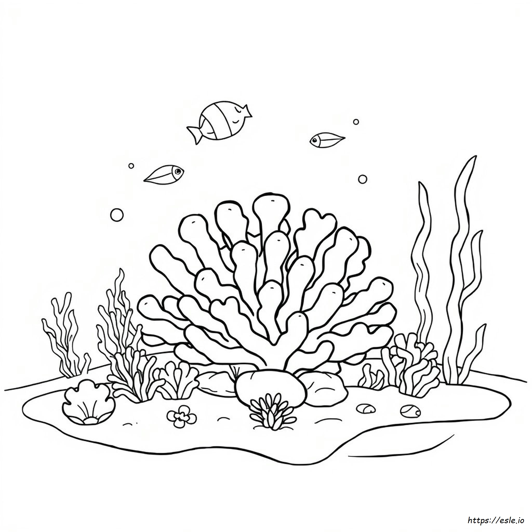 Brain Coral Coloring Pages