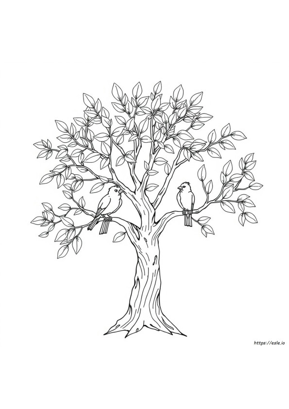 Dessins Coloriages Détaillés