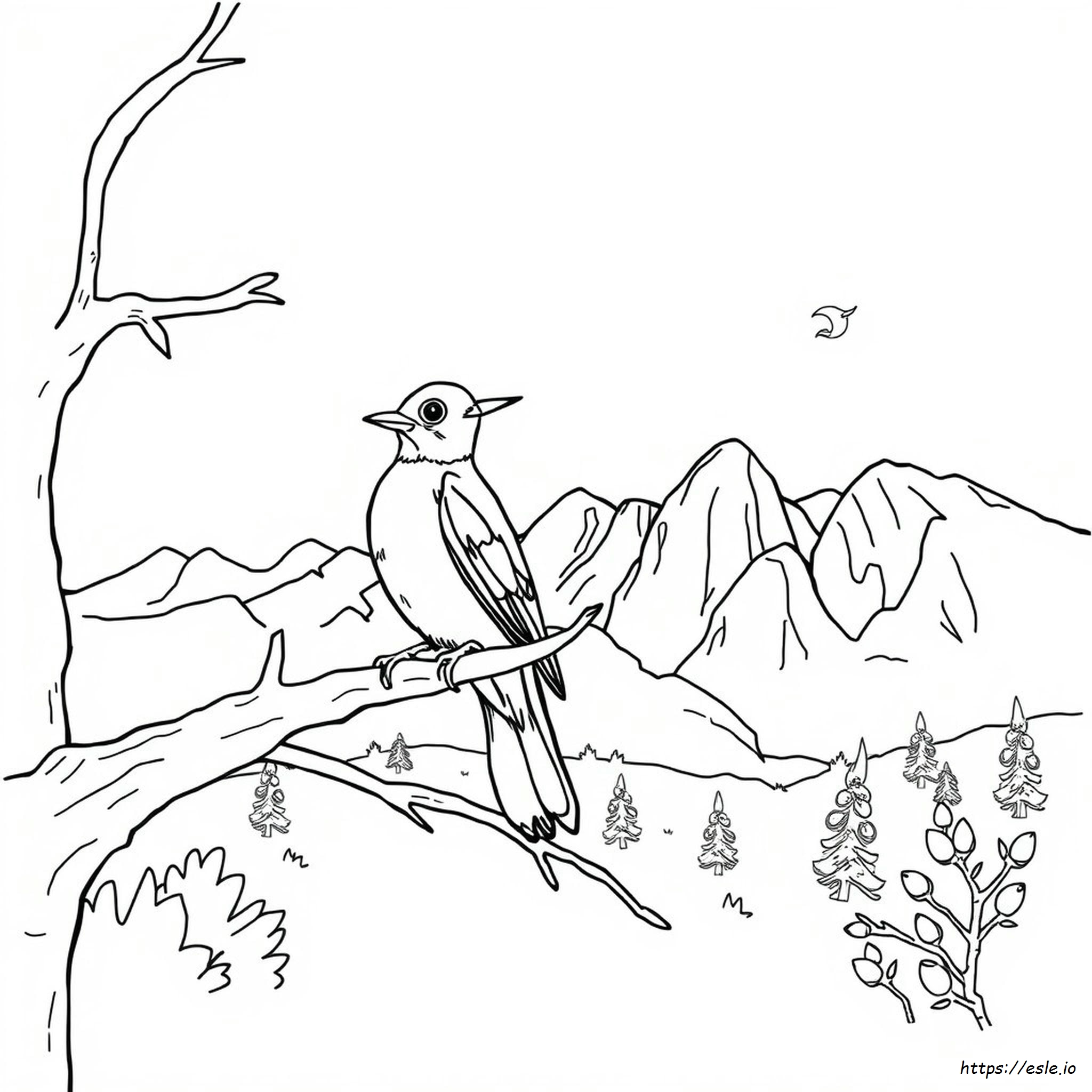 Colorado State Bird Coloring Page