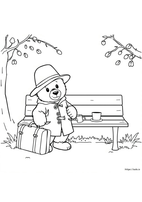 Paddington De Colorat