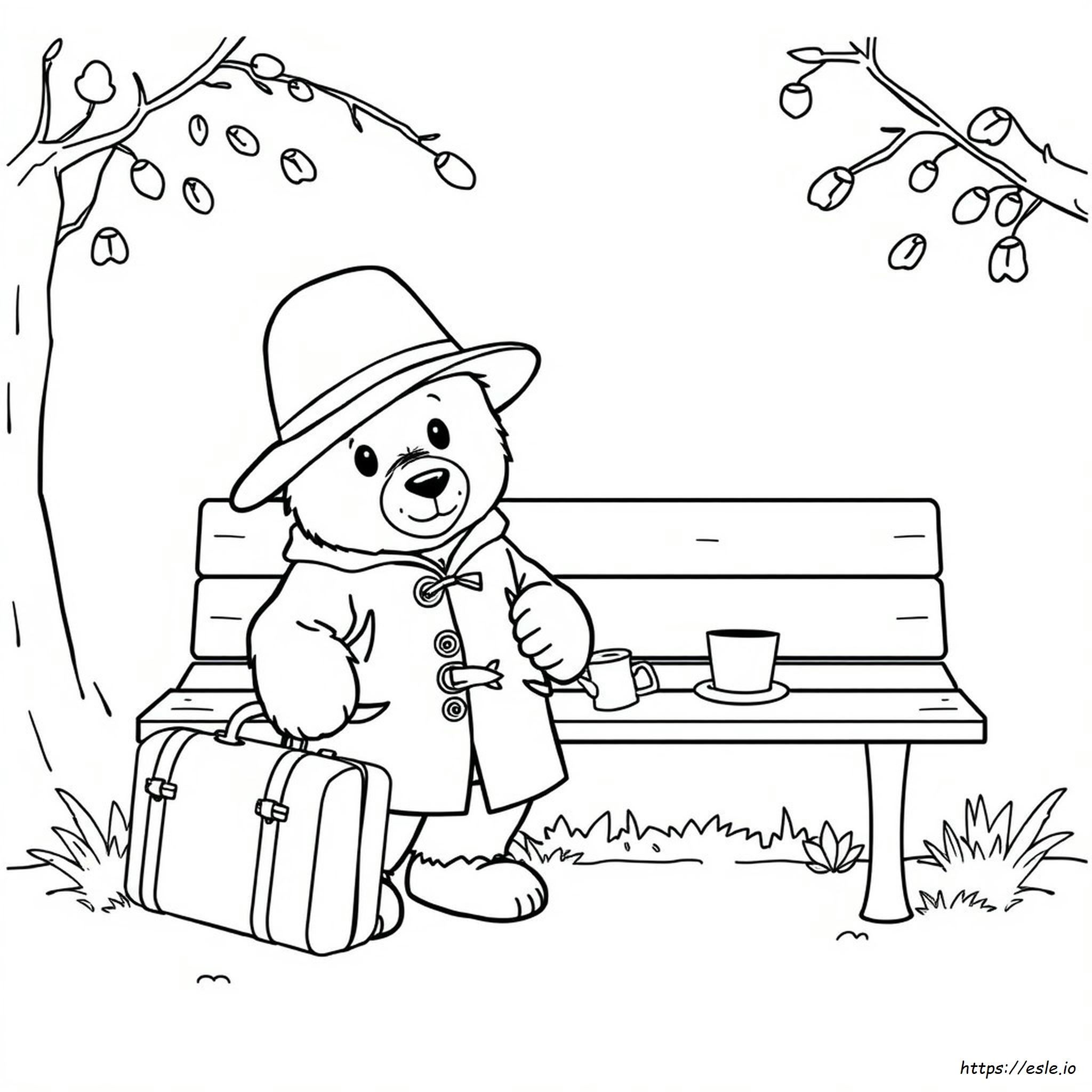 Paddington Colouring In