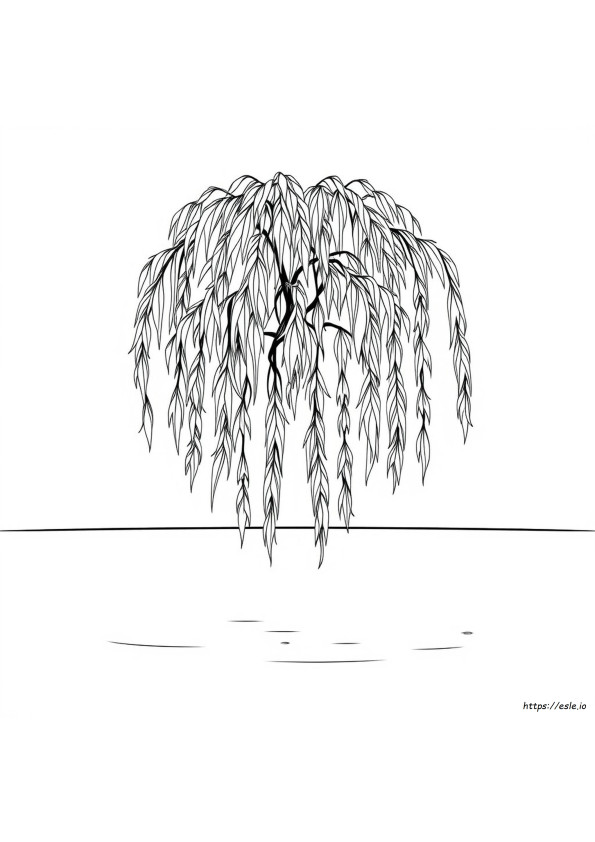 Weeping Willow Tree Coloring Page