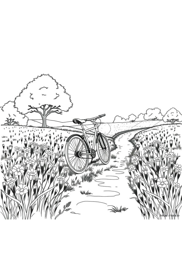 Coloriage Vélo