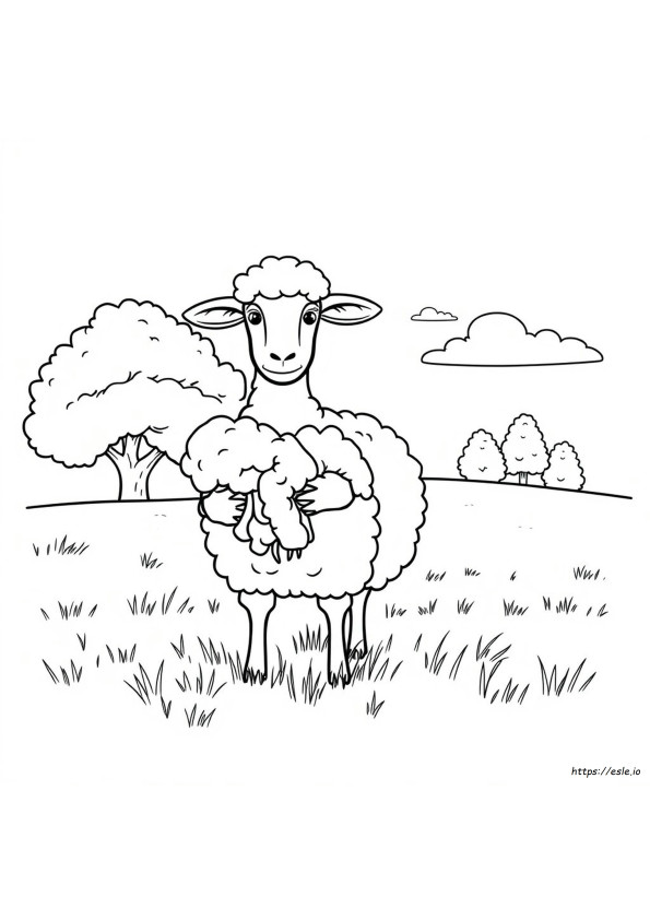Oveja Para Colorear