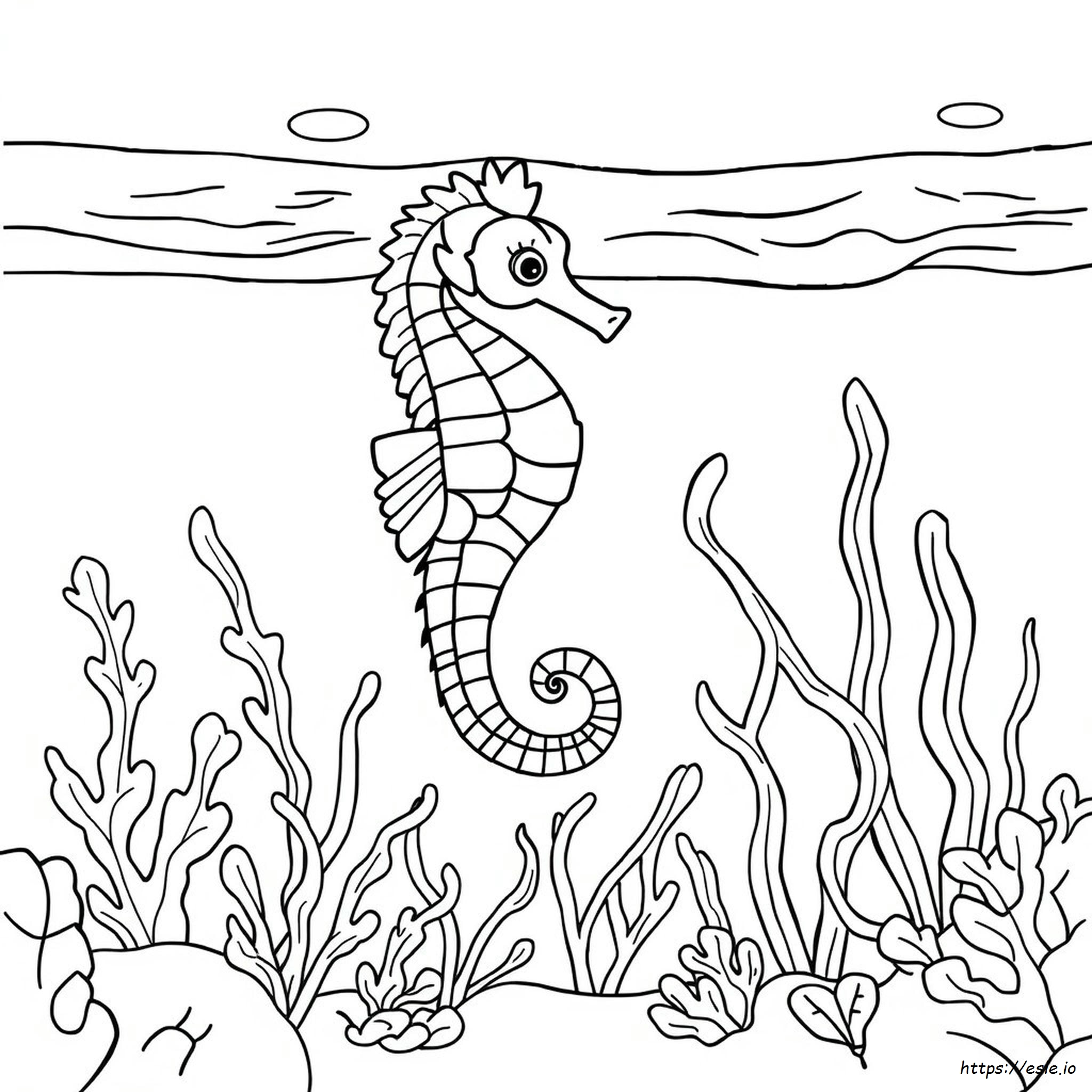 Seahorse Colouring Pages Printable