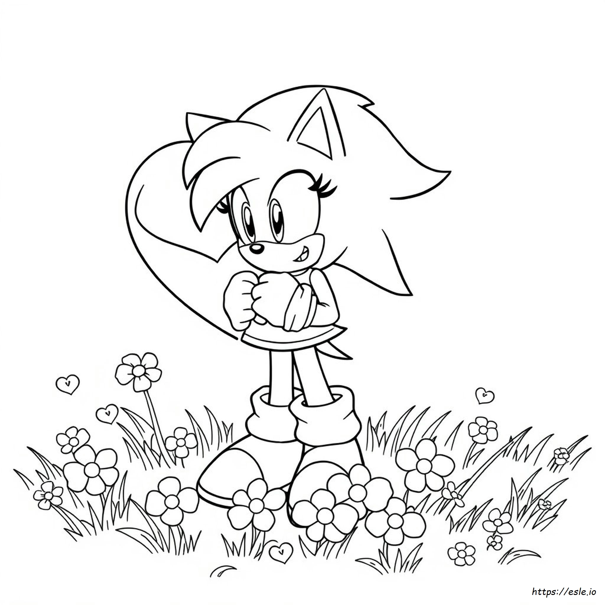 Super Coloring Amy Rose Sonic Kolorowanka