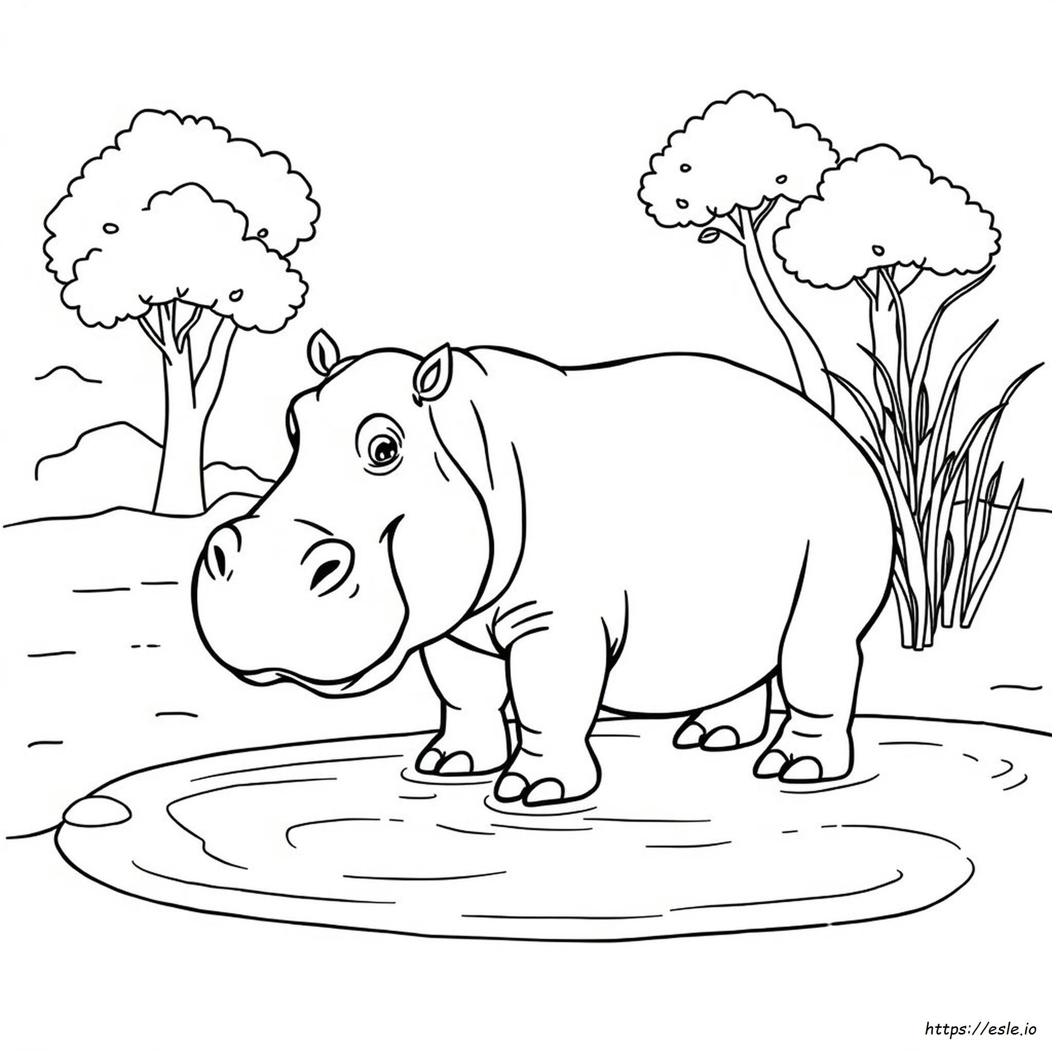 Hippo Colouring Picture