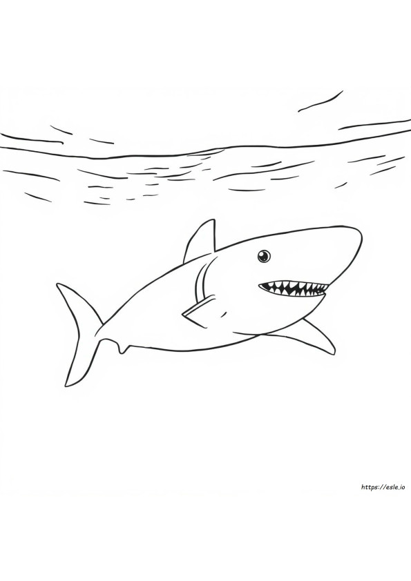 Dibujos Para Colorear De Tiburones Blancos