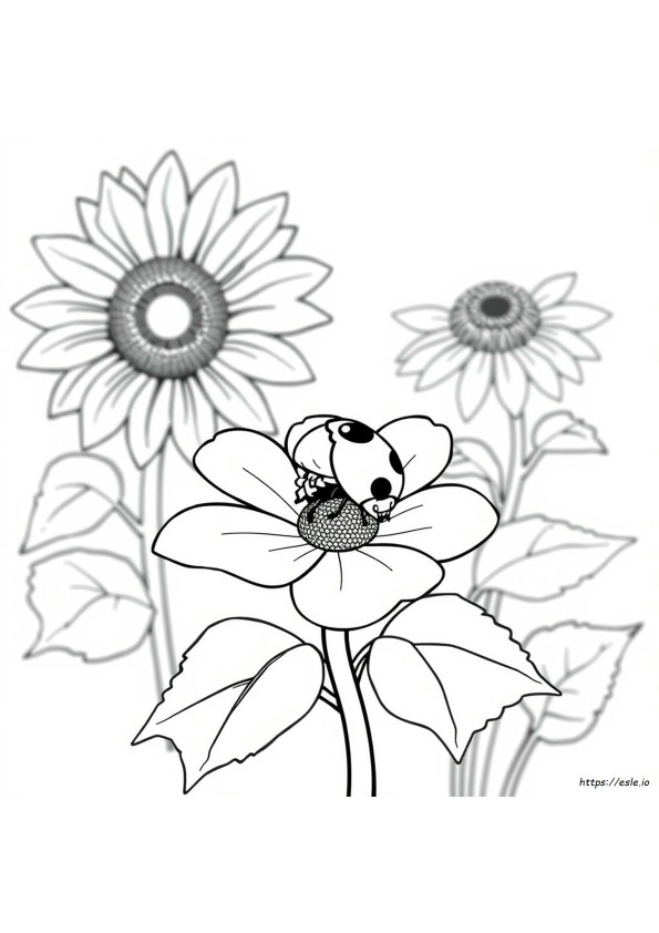 Mariquita Para Colorear Pdf