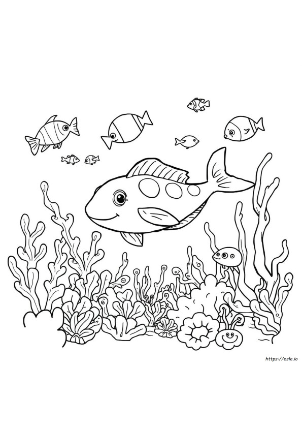 Zeedieren Kleurplaten