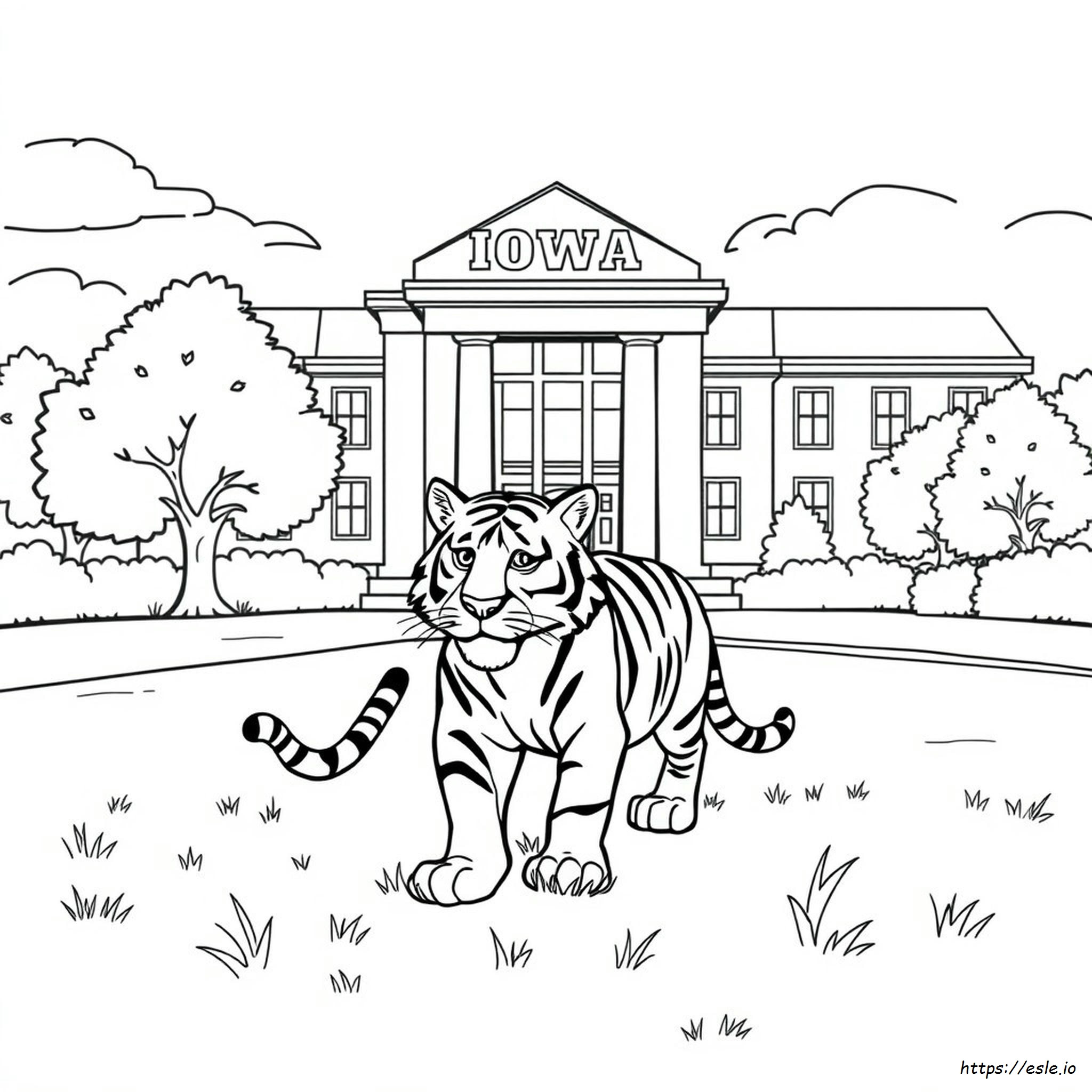 Iowa Coloring Páginas Para Colorear De La Universidad De Iowa