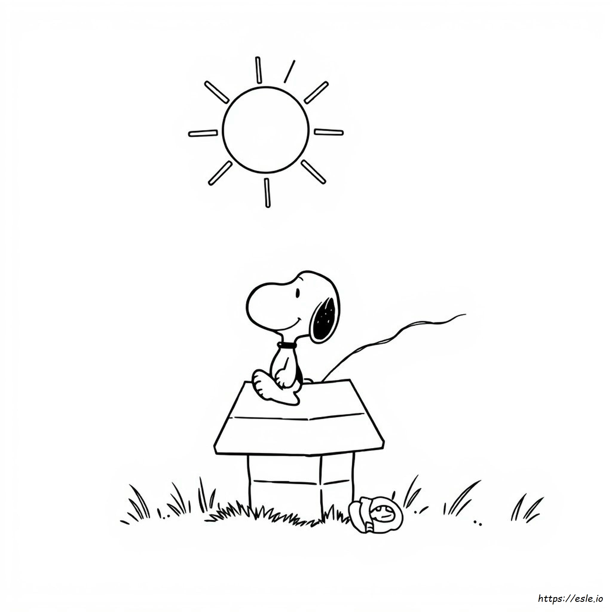 Snoopy Disegni Da Colorare