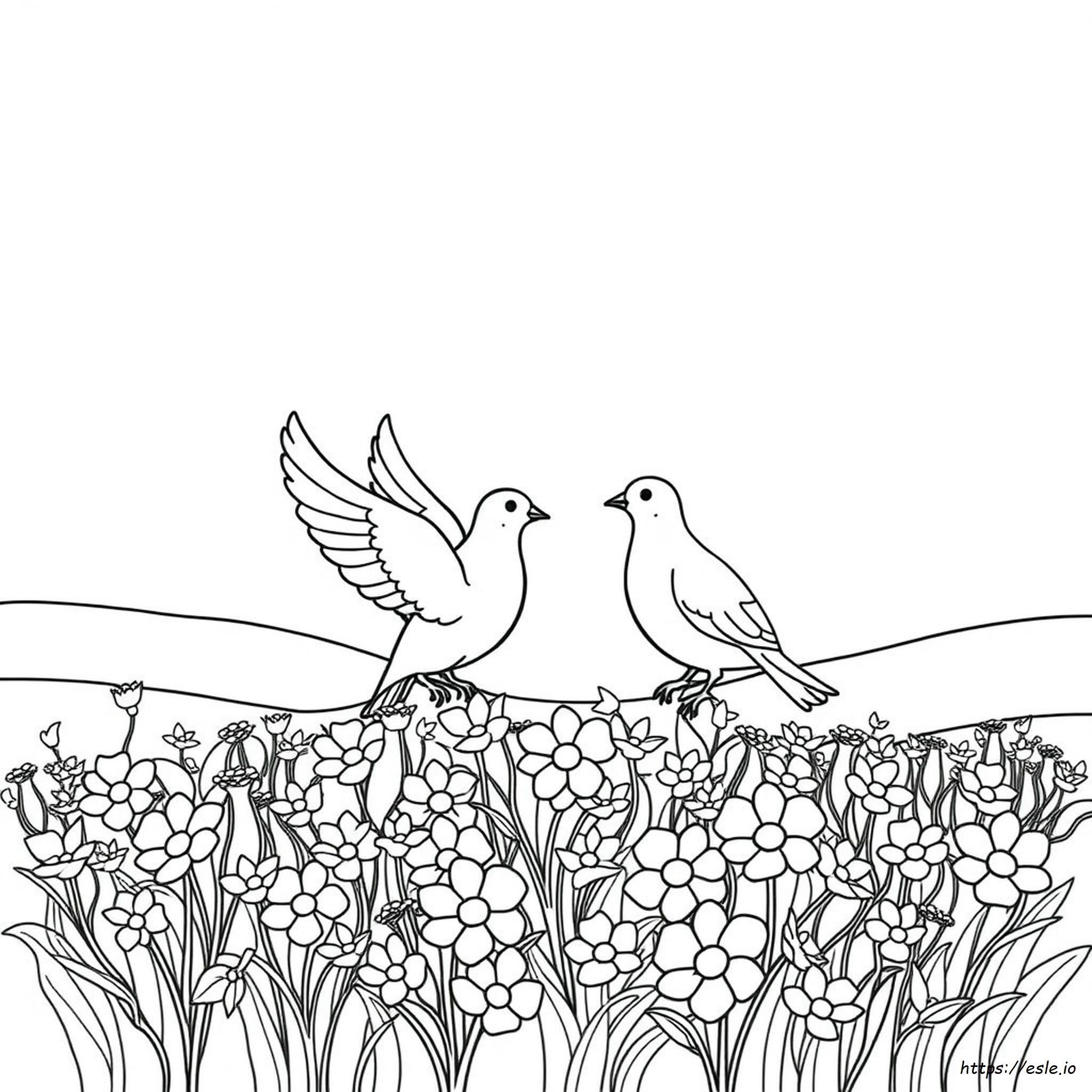 Printable Peace Dove Coloring Pages