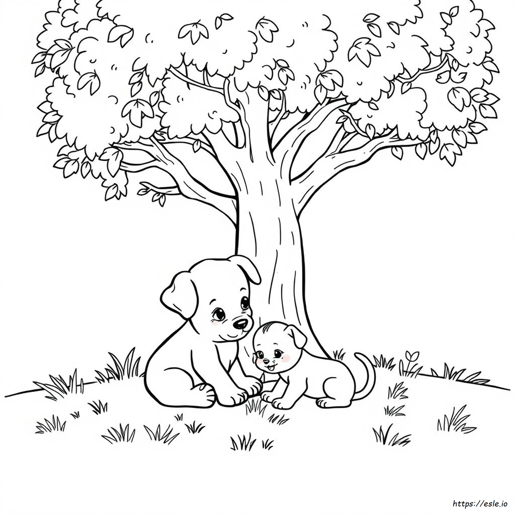 Puppy And Kitten Coloring Pages