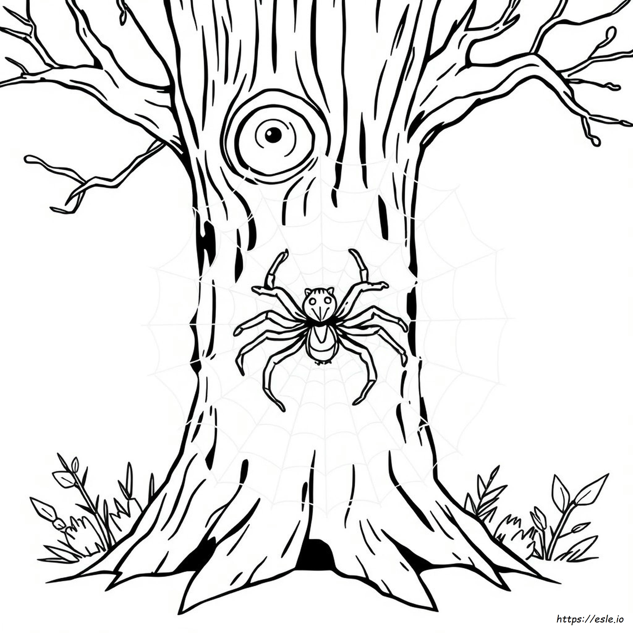 Coloriage Araignée Effrayante