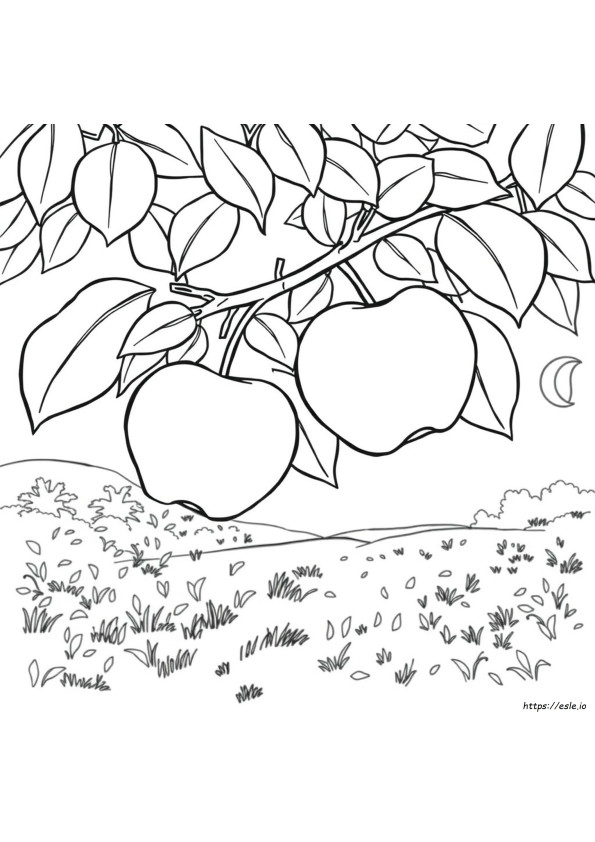 Coloriage Pomme