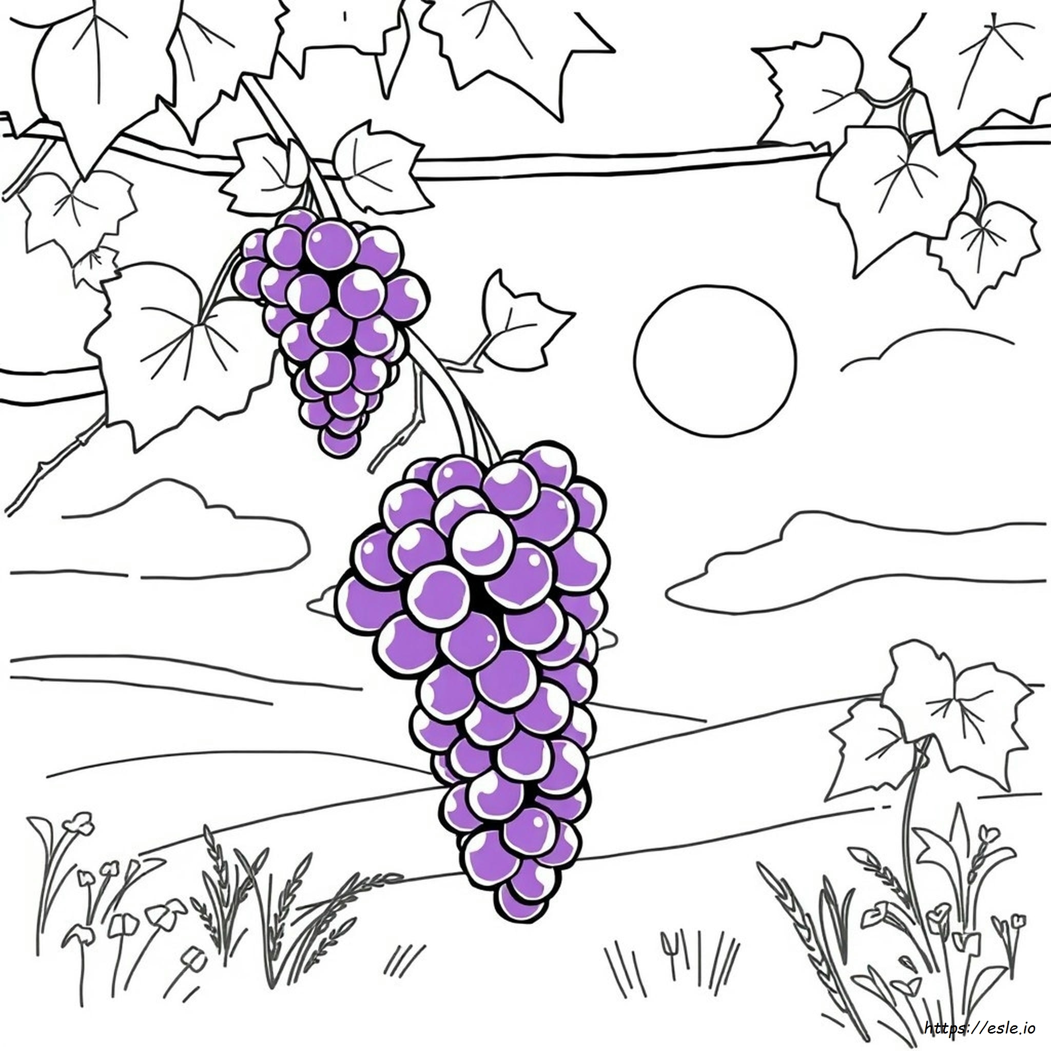 Natural Purple Food Coloring
