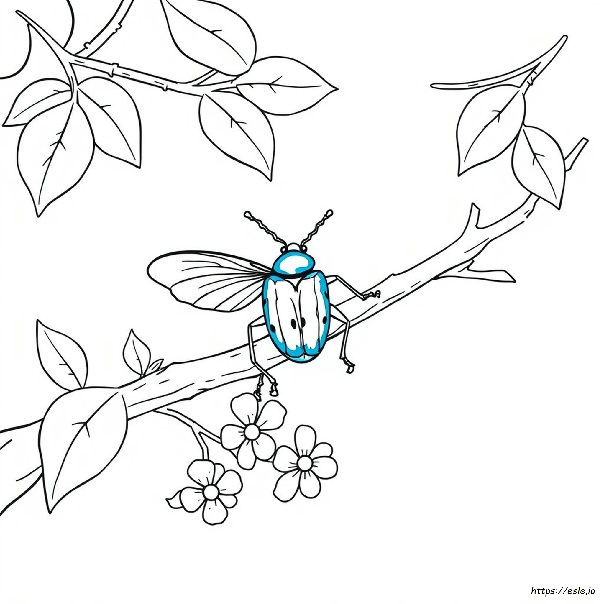 Blue Beetle Coloring Pages Printable