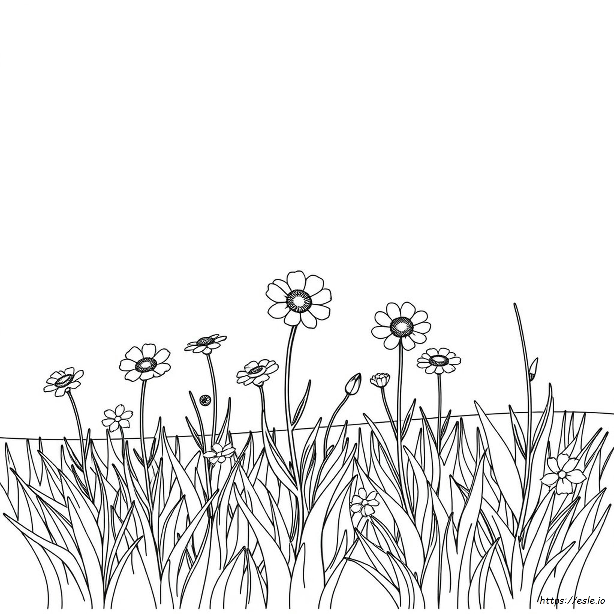 Carnets De Coloriage Color Wonder
