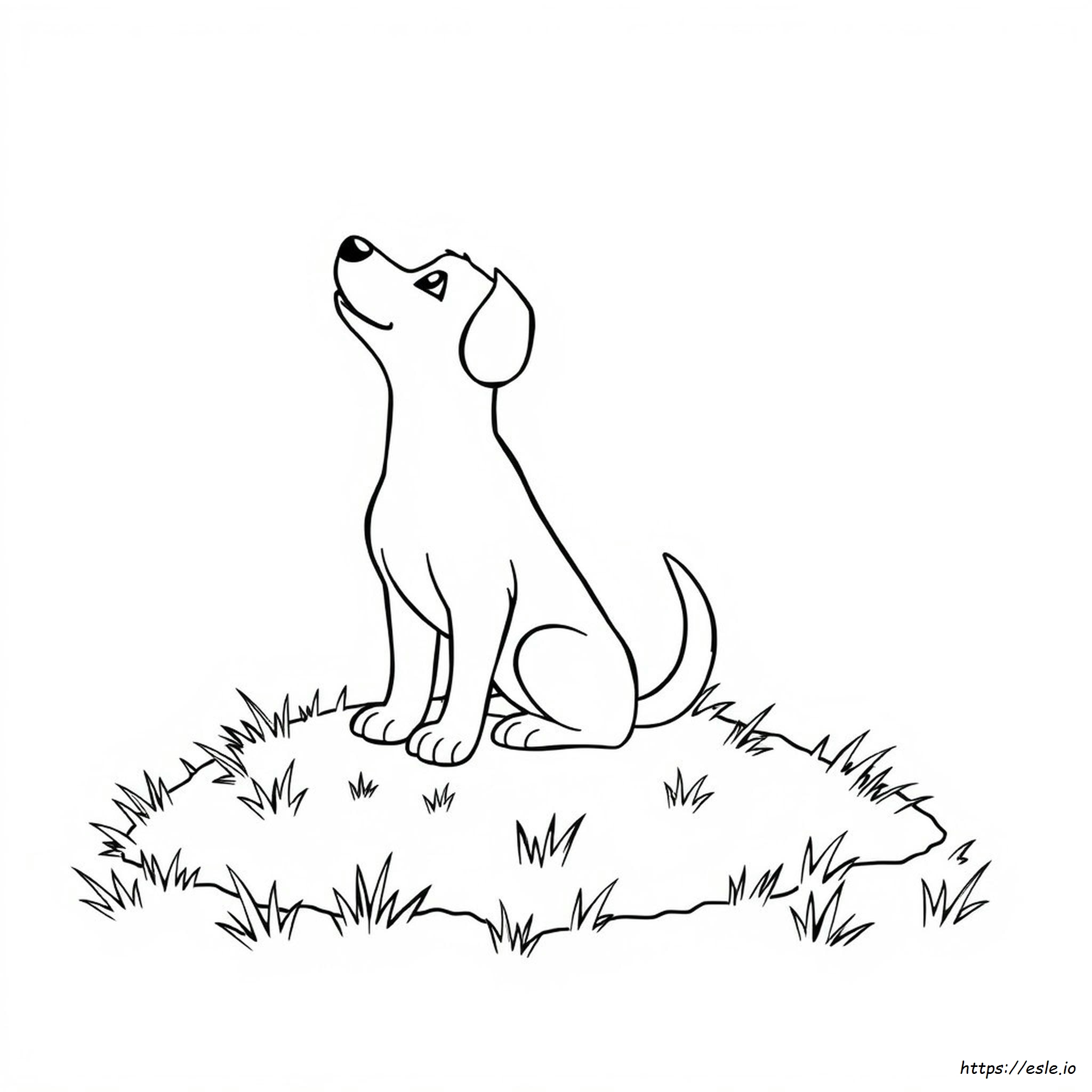 Gambar-Gambar Mewarnai Anjing Untuk Dicetak