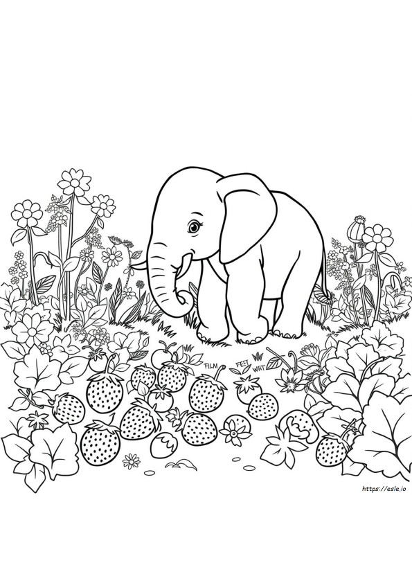 Erdbeer-Elefant Ausmalbild