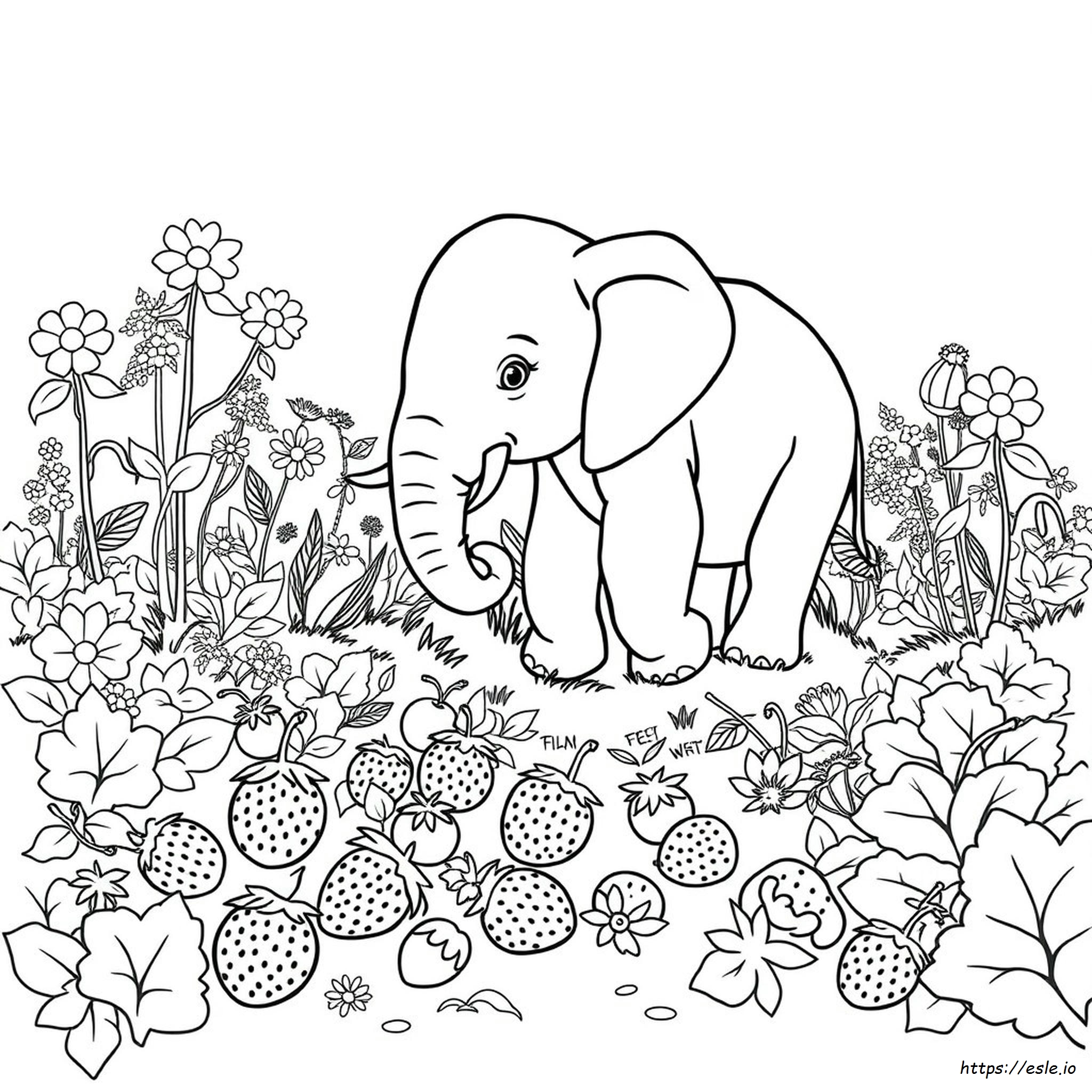Strawberry Elephant Coloring Page