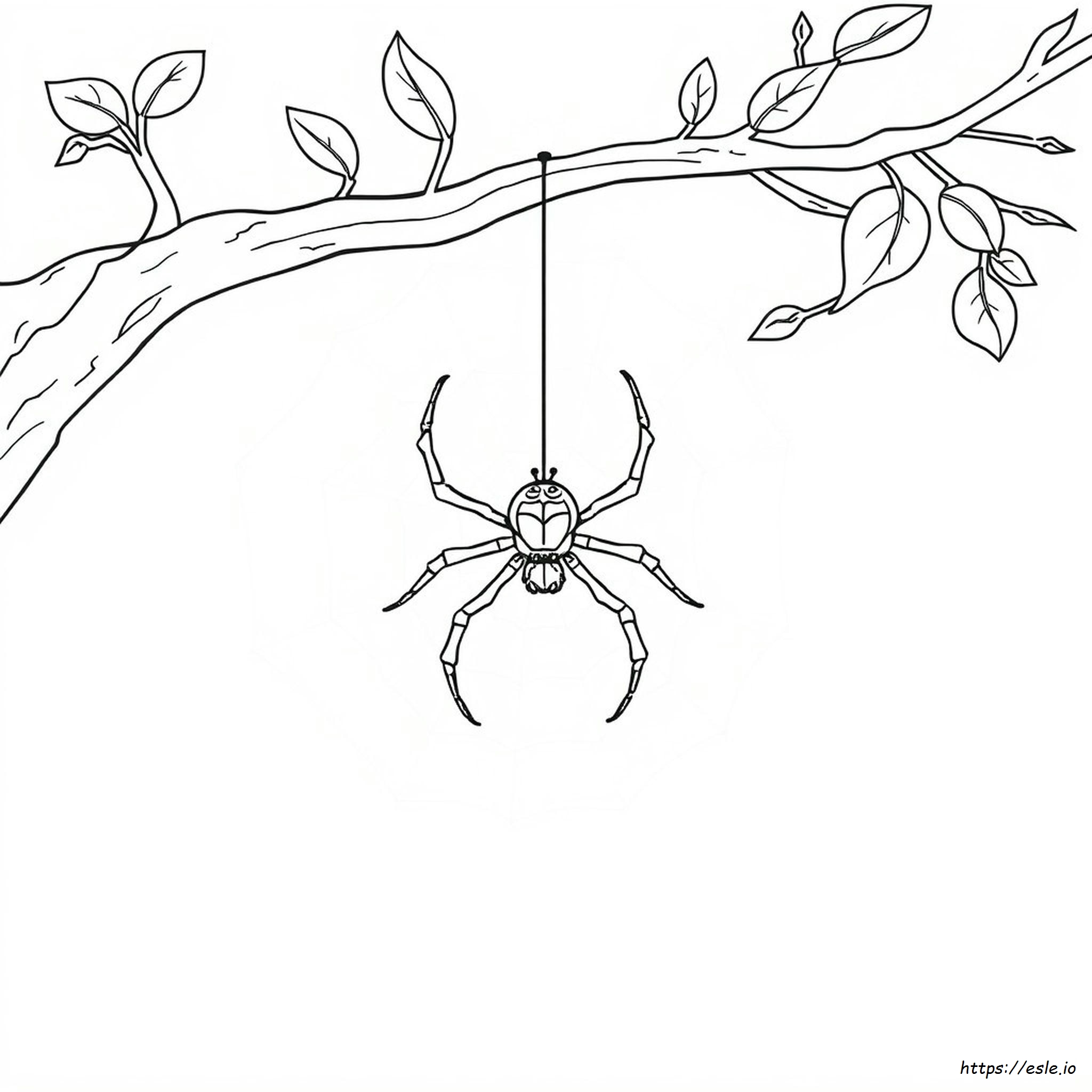 Free Printable Spider Coloring Pages
