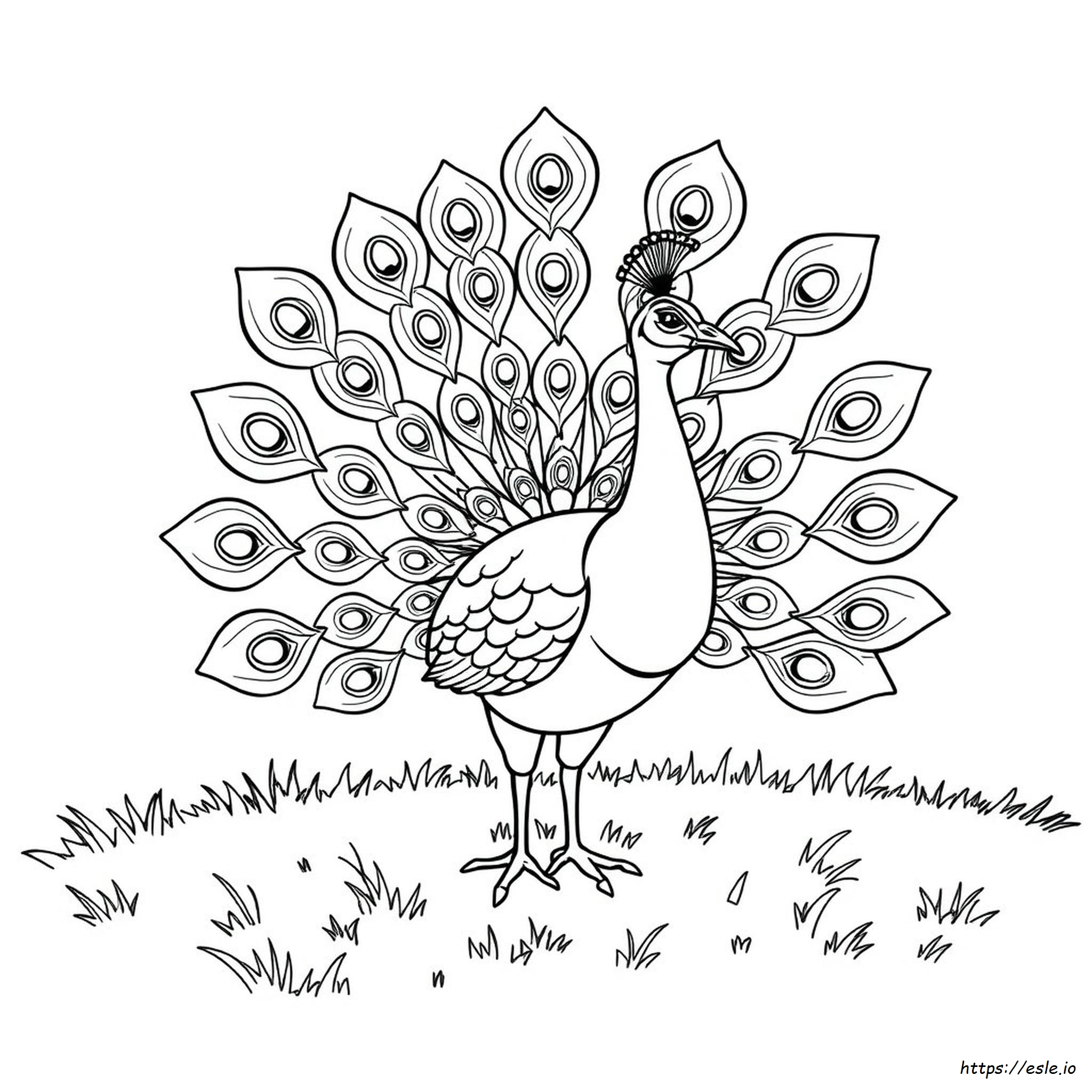 Pfau Ausmalideen