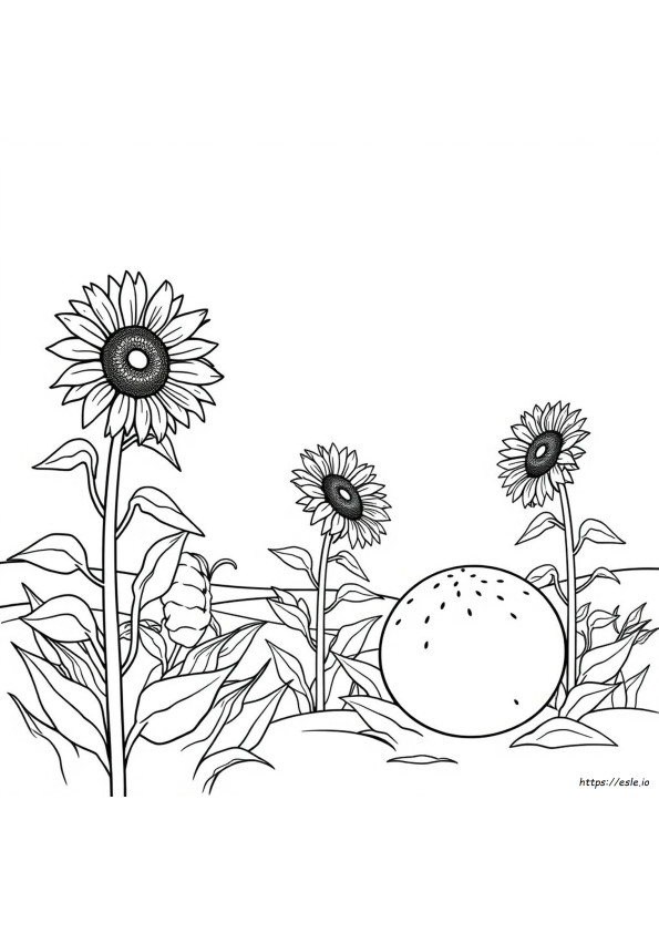 Desenhos De Fim De Verão Para Colorir