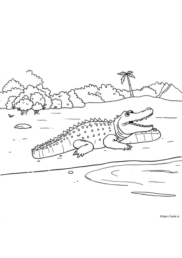 Cocodrilo Para Colorear