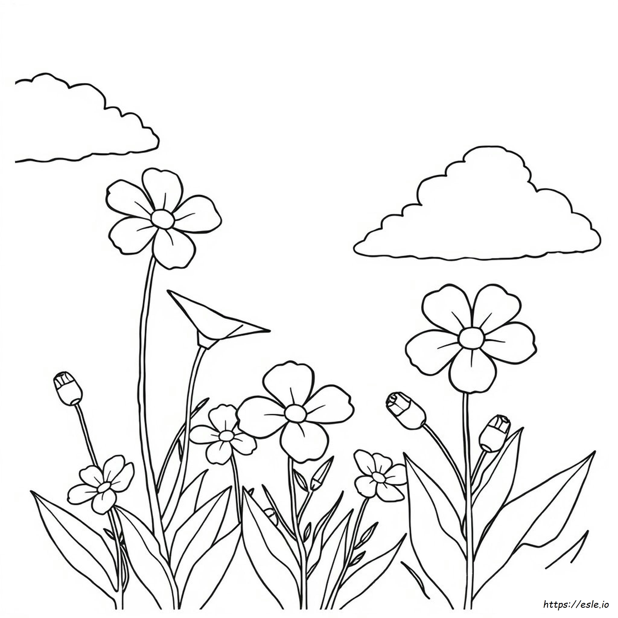 Rosa Bild Hintergrundbild Zum Ausmalen