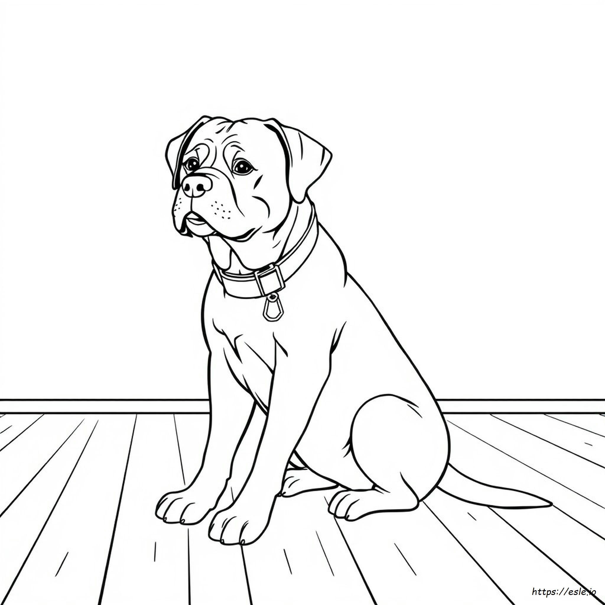Coloriage Rottweiler Réaliste