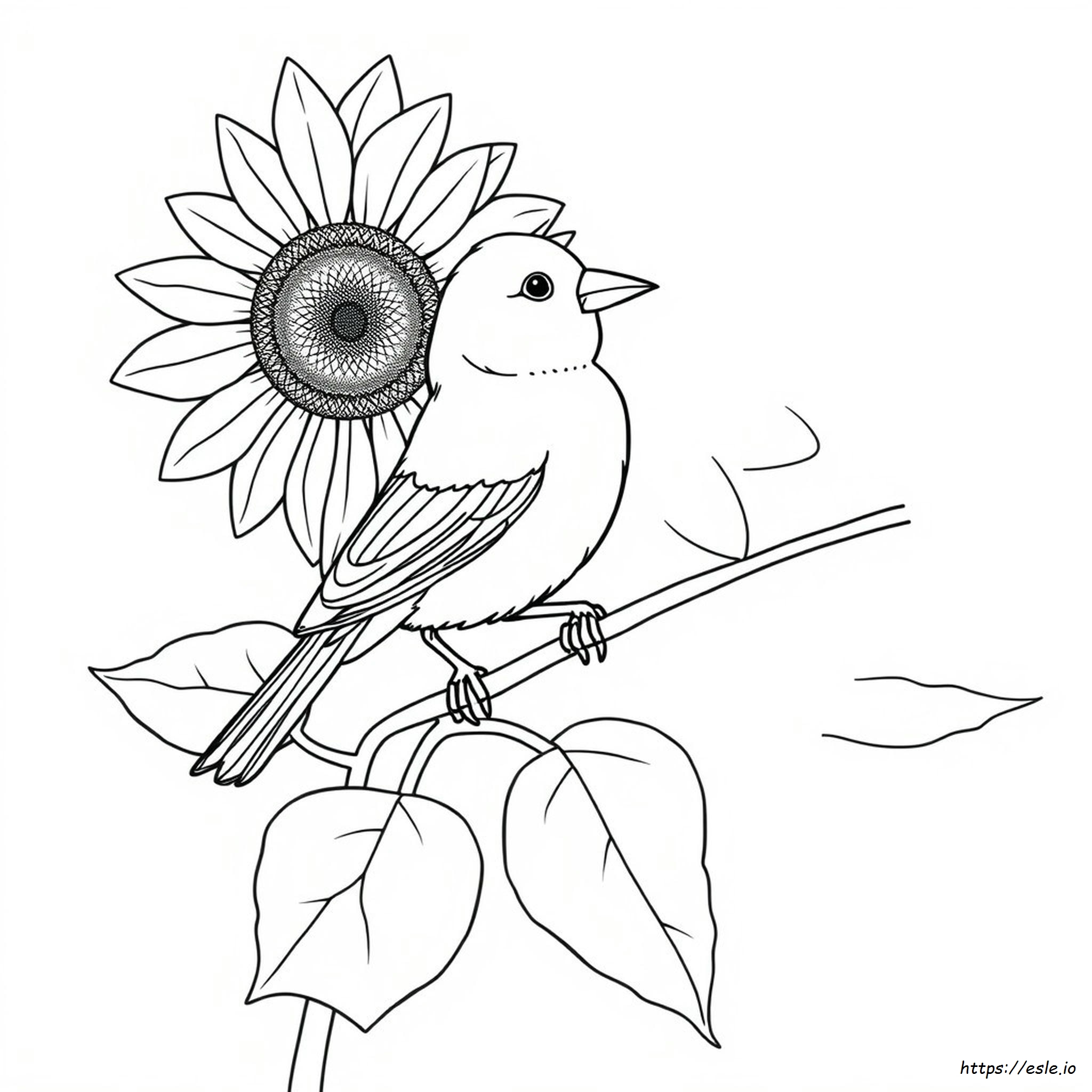Kanarienvogel Ausmalbilder