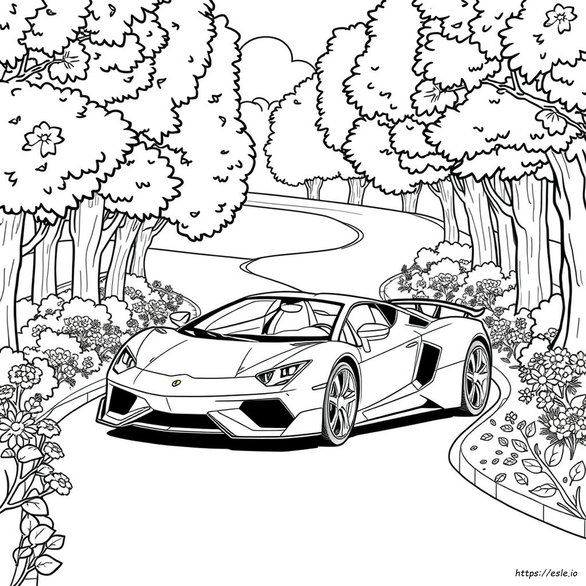 Exotic Car Coloring Pages