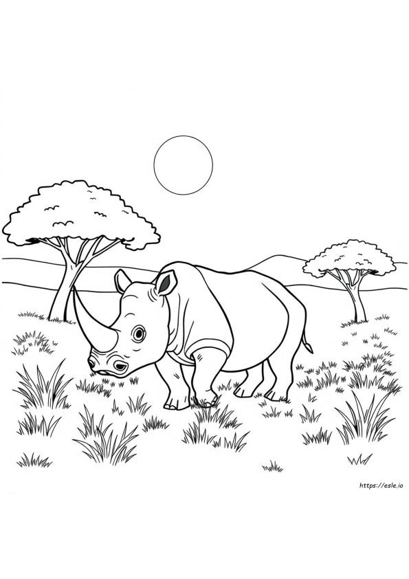 Nashorn Malvorlage Preise In Sri Lanka