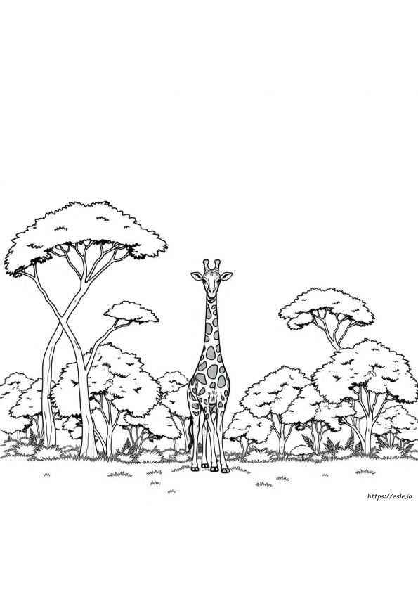 Coloriage Afrique