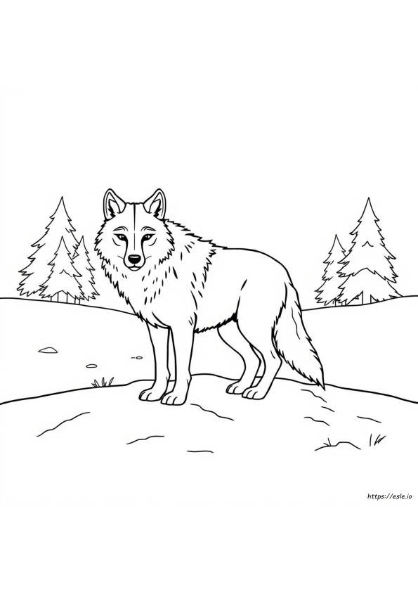 Kleurplaat Van Een Wolf