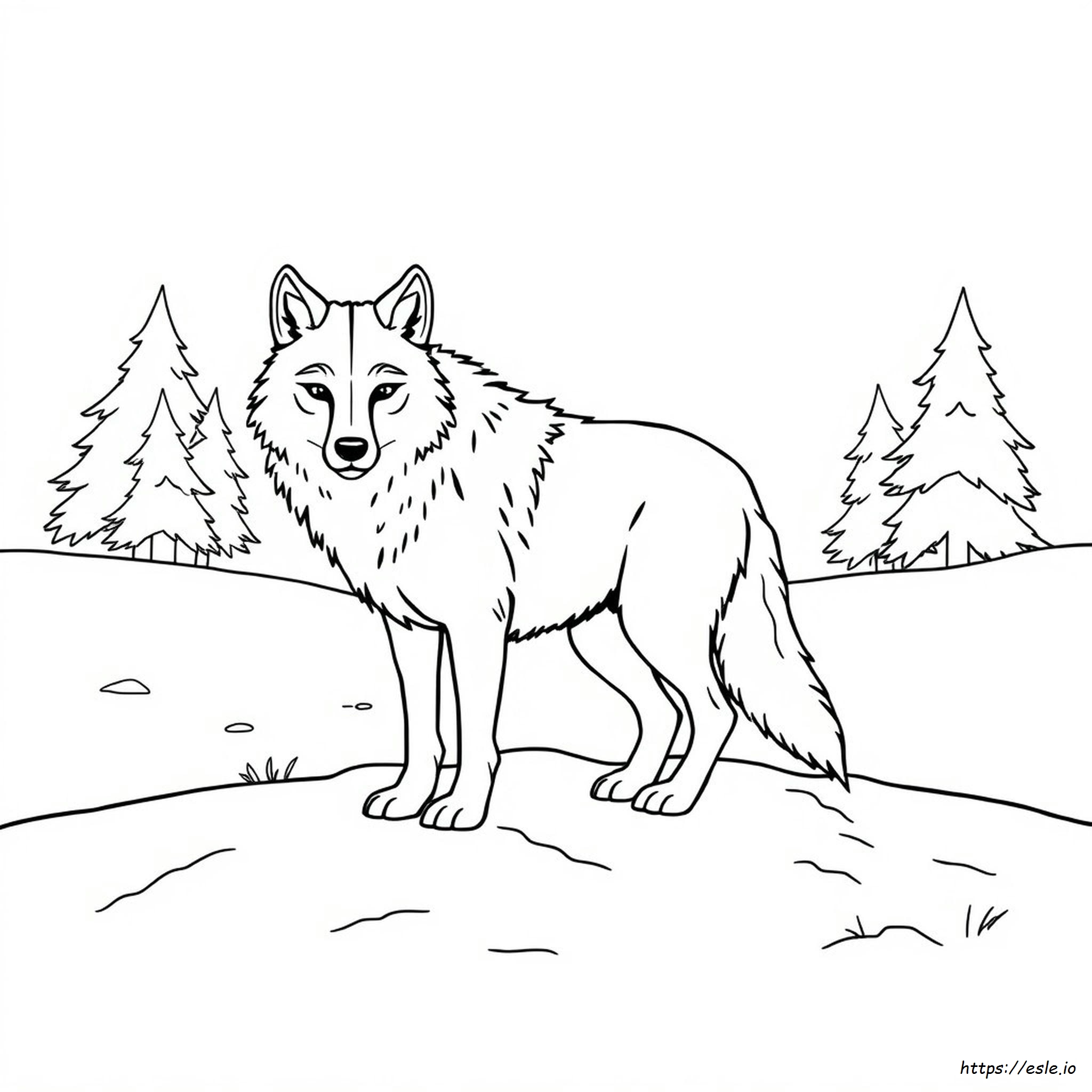 Coloring Picture Of A Wolf