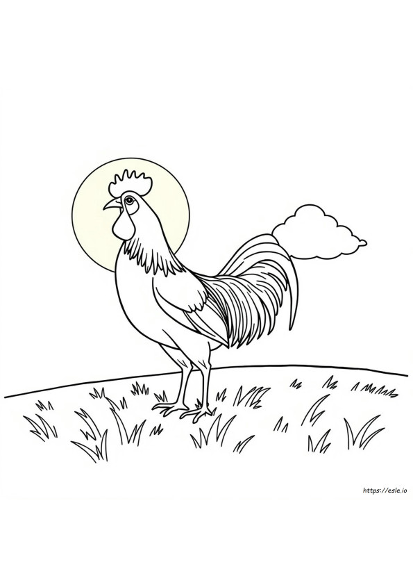 Gamecock Coloring Pages