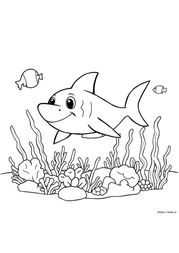 Sharko Värityskuvat