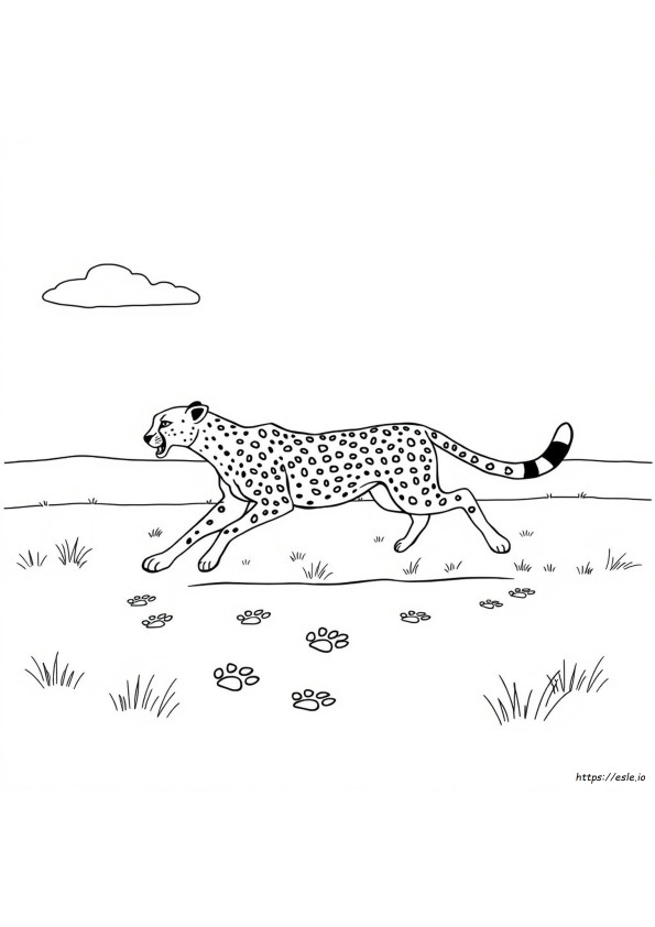 Stampa Leopardata Da Colorare