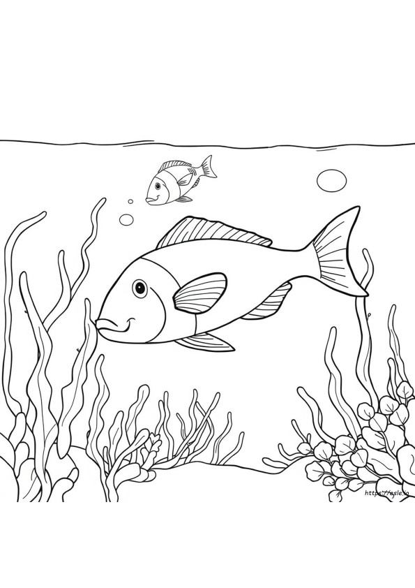 Fish Pages To Color