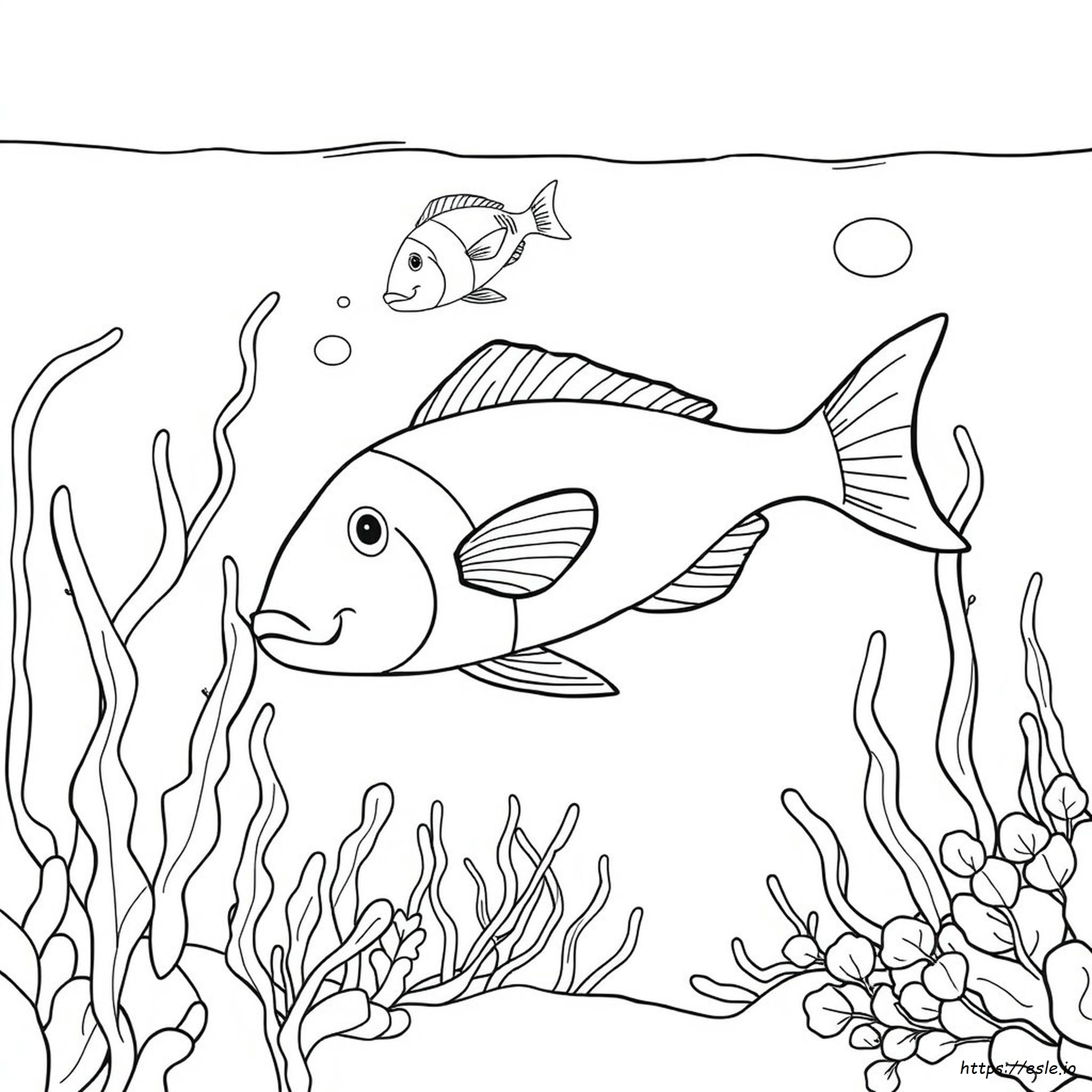 Páginas De Peces Para Colorear
