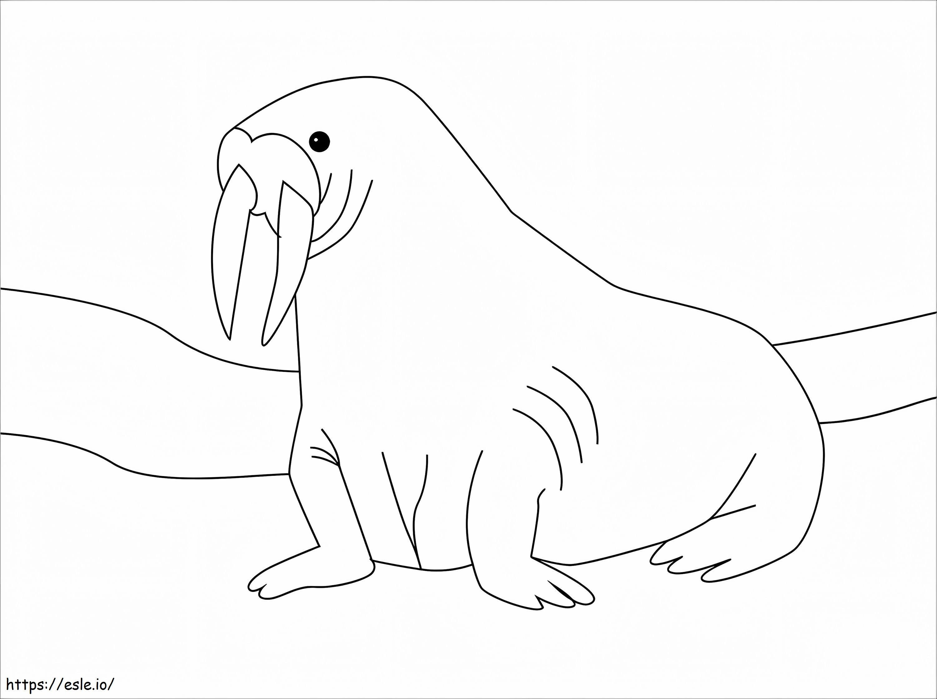 Simple Walrus coloring page