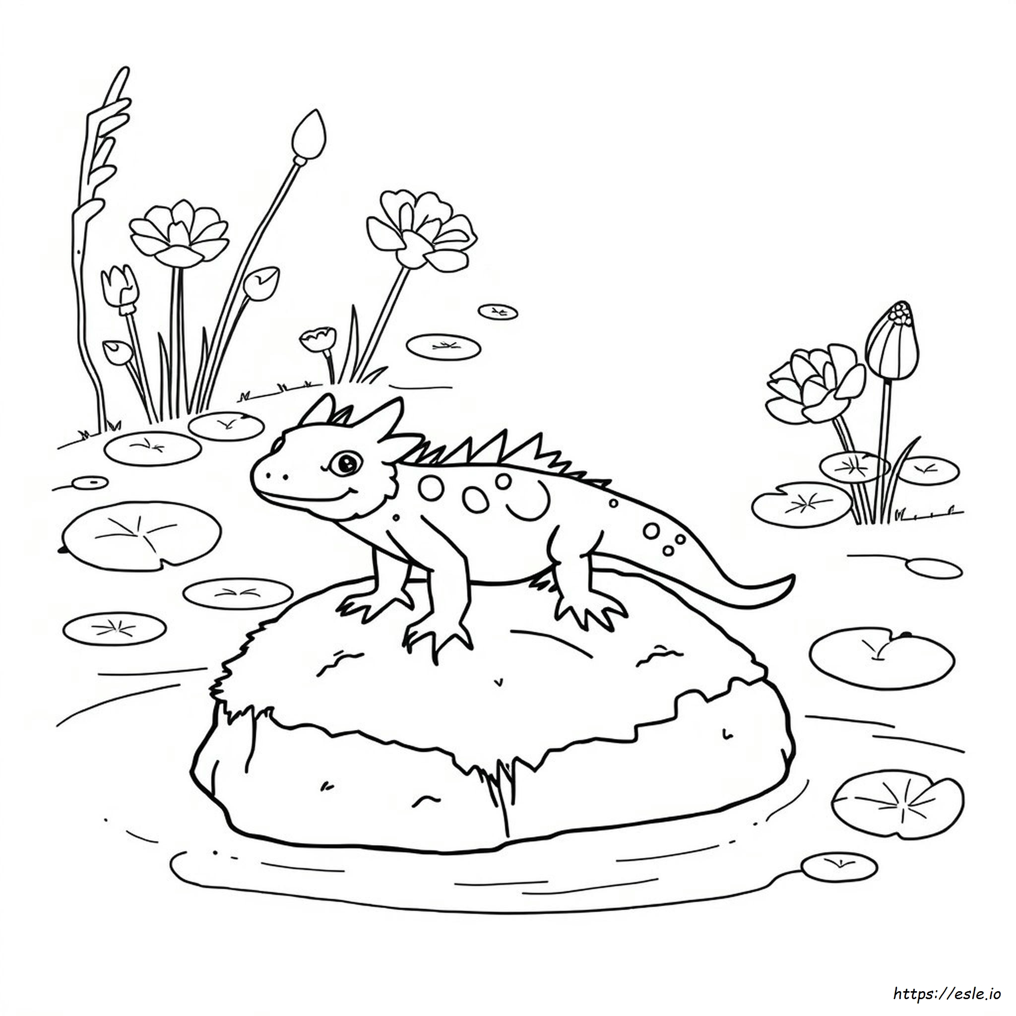 Axolotl Coloring Page