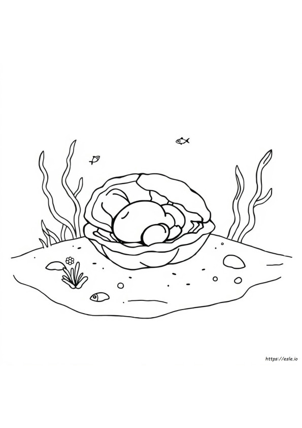 Oyster Coloring Page
