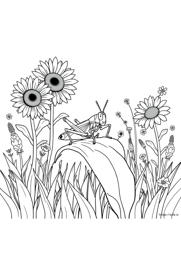Coloriage De Sauterelle