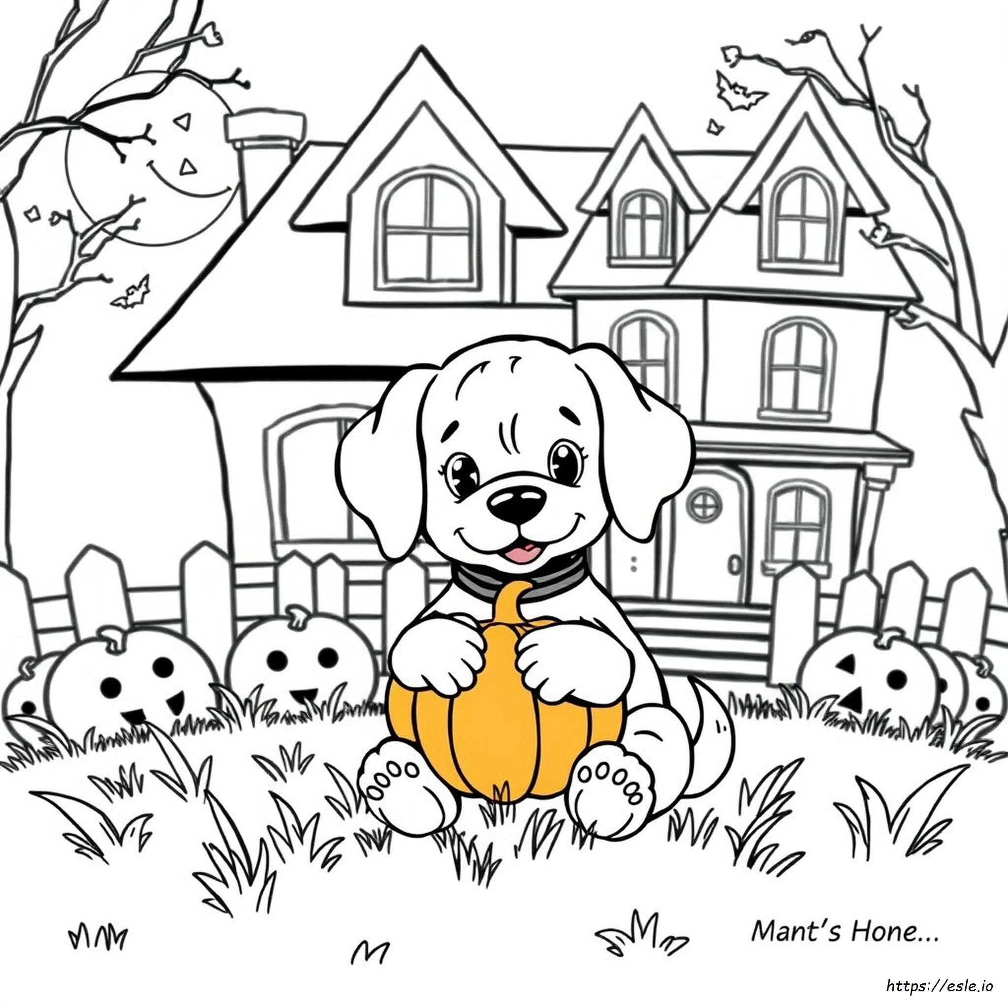 Cucciolo Carino Di Halloween Da Colorare