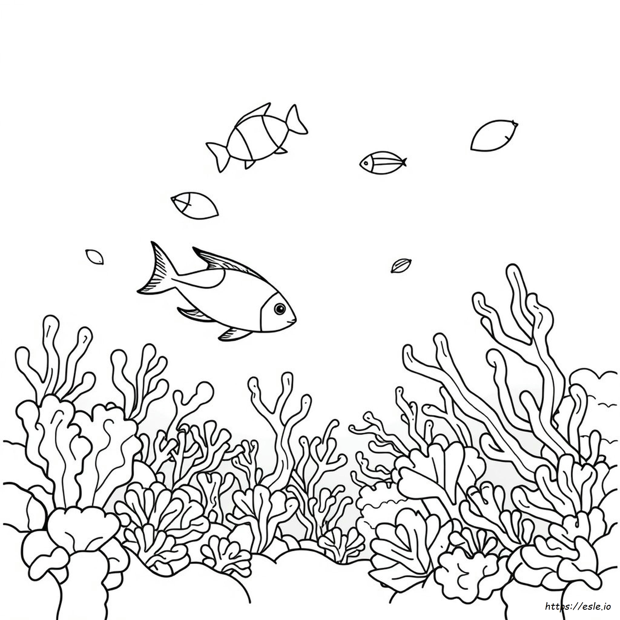 Red Sea Coloring Page