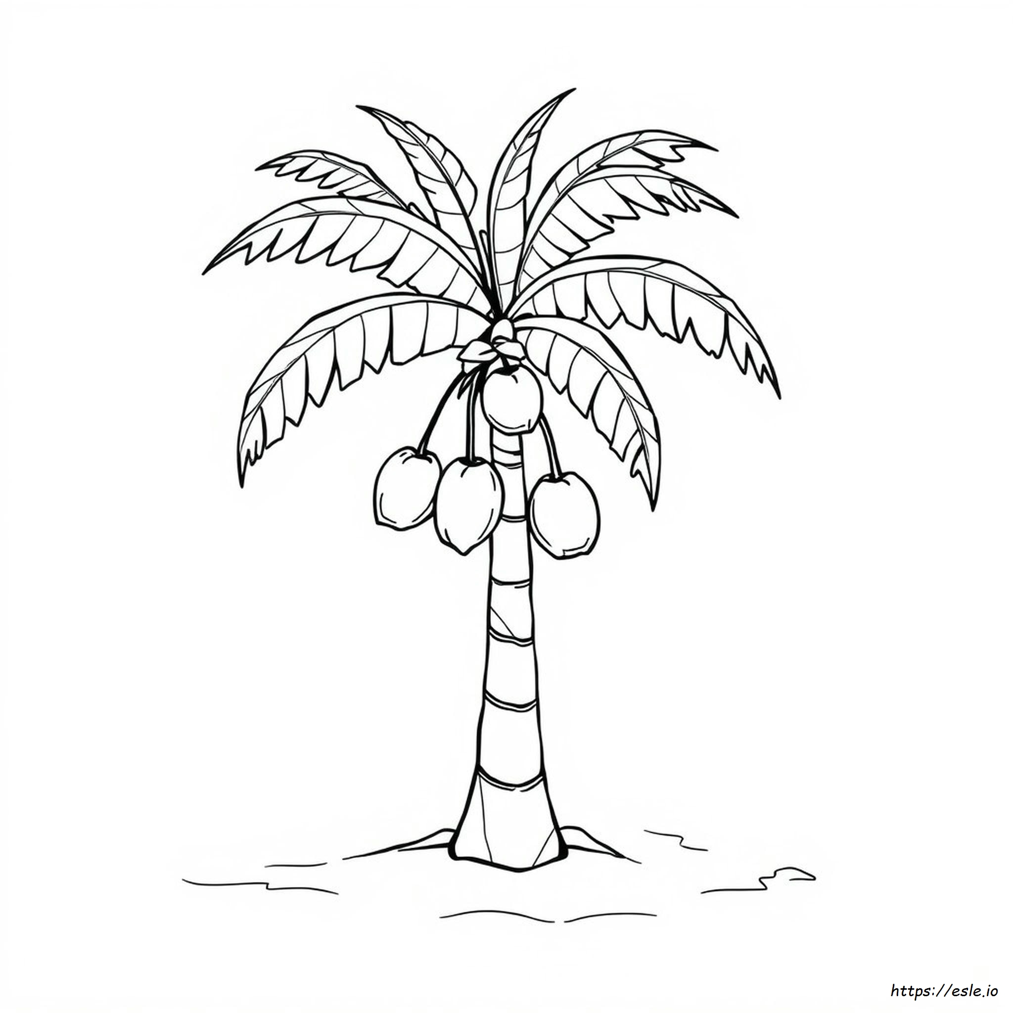 Coloring Pages Of Palm Tree
